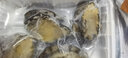 鮮活大鮑魚 大號鮑魚鮮活冷凍生鮮貝類海鮮水產(chǎn)燒烤火鍋食材 1斤裝 曬單實(shí)拍圖