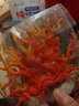 逸樂(lè )寵仿真珊瑚魚(yú)缸造景裝飾樹(shù)枝黑色紅色水族箱水底布景擺件海底世界 黃紅（帶固定底座） 曬單實(shí)拍圖