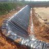 宏飛盛復合土工膜防滲膜防水土工布兩布一膜河道堤壩護坡魚(yú)塘養殖蓄水池 兩布一膜400g【4米寬】50米長(cháng) 曬單實(shí)拍圖