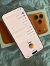 Apple/蘋(píng)果 iPhone 17 Pro 256GB 星宇橙色 支持移動(dòng)聯(lián)通電信5G 雙卡雙待手機 曬單實(shí)拍圖