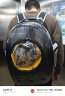宠德多猫背包猫包外出猫太空舱宠物猫咪狗狗外出便携包双肩包猫书包12孔  升级款侧开黑色（18斤内猫） 实拍图