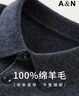 安東尼奧【100%綿羊毛】簡奢商務(wù)休閑男士翻領(lǐng)Polo衫羊毛衫打底毛衣春秋季 曬單實拍圖