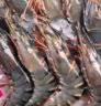 京东生鲜泰国活冻黑虎虾(大号40/50规格)400g 16-20只/盒 实拍图
