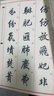 田英章毛筆楷書2500字（專業(yè)版/簡(jiǎn)體版）成人初學(xué)者臨摹歐體歐楷米字格毛筆教程字帖附注釋 華夏萬卷 曬單實(shí)拍圖