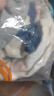 紅豆兒童內(nèi)褲純棉男女中大童3條裝卡通短褲3A抑菌A類透氣不夾檔平角褲 H3K4061 男童 3條 140 曬單實拍圖