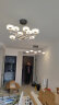 欧普星格北欧现代简约大气客厅卧室餐厅LED吊灯 MZD11015-53W(适用6~8㎡)-5头 晒单实拍图