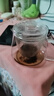 勤凱耐熱高溫玻璃茶壺過(guò)濾加厚透明單壺小號花茶壺家用茶水分離泡茶e 玻璃企鵝壺 480ml 曬單實(shí)拍圖