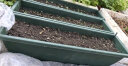 原起点长方形霍伦种菜盆60cm特大种花盆阳台种菜神器长条蔬菜草莓种植盆 种植套装【新手款】 实拍图