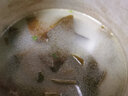 溢源霞浦海帶頭特厚日曬海帶干貨非特級煲湯食材干海帶頭新鮮海帶根 日曬海帶頭 100g 曬單實(shí)拍圖