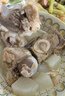 七環(huán)牧場(chǎng)漫養土豬 小蹄膀4斤 豬蹄膀 蹄髈豬肉肘子生鮮 源頭直發(fā) 【軟糯醇香】小蹄髈4斤 曬單實(shí)拍圖