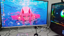 微星（MSI）32英寸 4K 240Hz 量子點(diǎn)OLED 0.03ms Type-C 90W 白色游戲電競顯示器 MPG 321URXW QD-OLED極光 曬單實(shí)拍圖
