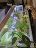 森森（SUNSUN）魚(yú)缸水族箱過(guò)濾器壁掛式水泵外置魚(yú)缸過(guò)濾桶魚(yú)缸凈水抽水泵 XBL-600更大號-80CM內缸 用 定制 曬單實(shí)拍圖