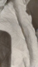 全棉時代夾棉連體衣秋冬保暖哈衣寶寶棉衣微厚嬰兒棉服 尋夢熱氣球 66碼 曬單實拍圖
