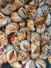 新鮮八爪魚海鮮水產(chǎn)鮮活冷凍小章魚迷你八抓魚章魚足超大爆頭 小號餐廳定制20-35個左右/斤 1斤裝 曬單實拍圖