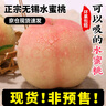 攸竹無(wú)錫水蜜桃新鮮白鳳桃子【JD京倉速運】當季水果甜毛桃水果禮盒 6枚嘗鮮裝【單果3-4兩】 曬單實(shí)拍圖