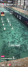 新款進(jìn)口釣魚(yú)線(xiàn)主線(xiàn)綁好的魚(yú)線(xiàn)組套裝全套臺釣成品正品超強拉力 4.5米丨3卷【八字環(huán)款】 2.0號 曬單實(shí)拍圖