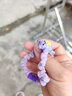 梵緹婭兒童紫色系小女孩可愛(ài)不傷發(fā)高彈力頭繩發(fā)飾女童卡通小熊 主圖5件套 曬單實(shí)拍圖