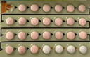 【6盒裝】優(yōu)思悅屈螺酮炔雌醇片(II)0.02mg:3mg*28片/盒 曬單實(shí)拍圖