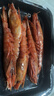 鮮喜利紅魔蝦鮮活超大生吃甜蝦刺身海鮮水產(chǎn)冰蝦舟山船凍新鮮海蝦生鮮蝦 紅魔蝦刺身級 1000g(凈重)  15—17cm【12—14頭/斤 飽滿(mǎn) 】 曬單實(shí)拍圖