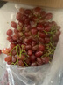果益壽云南克倫生無(wú)籽紅提子新鮮脆甜葡萄 中秋送禮品新鮮水果禮盒裝 克倫生紅提5斤精品果 曬單實(shí)拍圖