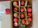 暢果匯正宗陜西洛川蘋(píng)果紅富士新鮮當季孕婦水果10斤脆甜多汁一級果整箱 70-75mm 帶箱10斤（凈重8.8斤） 8.8斤 曬單實(shí)拍圖