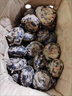 新鮮馬蹄（荸薺biqi） 清甜脆口 應季果農家現挖現發(fā) 京東快遞 帶箱二斤 曬單實(shí)拍圖