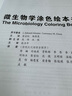 微生物學(xué)涂色繪本書（中文翻譯版） 曬單實拍圖