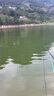 六魚(yú)漂尾咬鉤變色高靈敏硬尾漂日夜兩用漂魚(yú)漂漂浮夜光漂電子硬尾魚(yú)漂 Y7深水鯽鯉-吃鉛1.7g漂長(cháng)50cm 【咬鉤變色+1顆電池】 曬單實(shí)拍圖