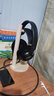 森海塞爾（Sennheiser）HD400PRO有線耳機HD200 HD280 HD300 PRO專業(yè)頭戴式監(jiān)聽耳機開放式耳麥游戲音樂HIFI送男朋友禮物 耳機支架 曬單實拍圖