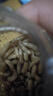 駱?lè )[豆大號肉蛆釣魚(yú)蛆蟲(chóng)鮮活野釣蛆蟲(chóng)蠅蛆紅蛆餌料活蛆牙子紅蛆蟲(chóng) 白色1瓶(大號1.1公分每瓶150條) 曬單實(shí)拍圖