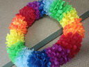 隨燦鋼絲花環(huán)運動(dòng)會(huì )道具開(kāi)幕式入場(chǎng)兒童學(xué)生幼兒園早操舞蹈道具彩色 【彩色圓形1個(gè)裝】 周長(cháng)100cm直徑32cm 曬單實(shí)拍圖