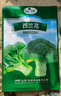 菊苣種籽大葉多年生兔子草種豬牛魚雞鴨鵝愛吃的養(yǎng)殖四季牧草種子 試種大葉菊苣凈子1000粒 曬單實拍圖