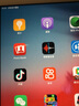 Apple蘋果 iPad mini2/mini3/mini4 迷你4平板電腦 mini2 32G WiFi版 品牌充電套裝+殼膜+電容筆 曬單實(shí)拍圖
