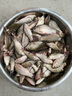 川澤磯釣路滑夜光漂魚(yú)線(xiàn)線(xiàn)組套裝遠投大物加粗醒目咬鉤變色浮漂滑漂 PQ-01 鉛3克-100米路滑線(xiàn)組 2.0號 曬單實(shí)拍圖
