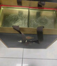 古井貢酒 年份原漿古5 濃香型白酒 50度 500ml*6瓶 整箱裝 曬單實(shí)拍圖