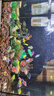 百綸木千【順豐】天使魚(yú)觀(guān)賞魚(yú)耐活魚(yú)不打氧小型魚(yú)淡水魚(yú)缸熱帶魚(yú)寵物活魚(yú) 【順豐發(fā)貨】30條天使魚(yú)（顏色混搭） 曬單實(shí)拍圖