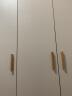 森普顿 衣柜卧室平开门衣柜实木组合现代简易简约板式家用柜子收纳衣橱 三门实木衣柜（120*50*180） 实拍图