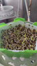 流彗綠豆芽觀察實驗diy種植盆栽幼兒園小學手工禮品植物發(fā)芽觀察作業(yè)植物開心農(nóng)場 觀察實驗盒子-綠豆 DIY水培種植玩具 曬單實拍圖