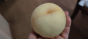 水蜜桃【現貨】正宗無(wú)錫白鳳水蜜桃 時(shí)令水果現摘新鮮精選桃子 12粒禮盒裝（單果180~250克） 曬單實(shí)拍圖