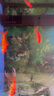森森魚(yú)缸水泵變頻潛水泵水族箱抽水魚(yú)池造景家用戶(hù)水幕墻造景 JTP-4800（32瓦）棉+水管+殺菌鹽 曬單實(shí)拍圖