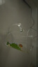 舒齊兒童牛奶杯學(xué)飲杯家用寶寶沖泡奶粉杯帶刻度杯吸管帶把玻璃水杯 曬單實(shí)拍圖