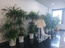 矢颯漢服女童秋冬款新款兒童中國風(fēng)唐裝明制馬面裙套裝女童超仙唐裝1 160 全套三件套 曬單實(shí)拍圖