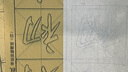 臻言 柳體毛筆字帖 初學(xué)者入門臨摹 柳公權(quán)大楷集字 玄秘塔描紅本 成人大字宣紙描紅本 曬單實(shí)拍圖
