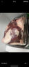 伊舜內(nèi)蒙新鮮整只剔骨后腿肉5斤羊腿新鮮羔羊肉生鮮燒烤食材 曬單實(shí)拍圖