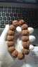 巧品 原生態(tài)尼泊爾大金剛菩提手串男士文玩佛珠姜黃皮五瓣爆肉雙龍紋 五瓣爆肉大金剛22mm 曬單實(shí)拍圖