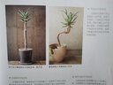 室內(nèi)綠植搭配與養(yǎng)護(hù)完全手冊(cè)：用綠植打造花園家居（日本專業(yè)綠植設(shè)計(jì)師經(jīng)驗(yàn)總結(jié) 植物殺手也能打造高顏值綠意家居） 曬單實(shí)拍圖
