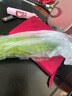 皓謙山東旱黃瓜新鮮水果5斤整箱脆嫩小黃瓜小青瓜孕婦蔬菜特產(chǎn) 5斤 曬單實(shí)拍圖
