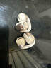 韶音（SHOKZ）OpenDots ONE動(dòng)鈦圈開(kāi)放式藍牙耳機耳夾式無(wú)線(xiàn)耳機藍牙跑步運動(dòng)耳機E310 星際白 曬單實(shí)拍圖