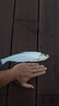 海伯馬口亮片NBK溪流亮片路亞假餌單鉤遠(yuǎn)投翹嘴鱸魚白條路亞仿生硬餌 金色3.5g蟲型5只 曬單實(shí)拍圖