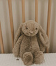 Jellycat害羞米色邦尼兔動(dòng)物毛絨玩偶安撫公仔娃娃生日新婚禮物 米色 Medium 曬單實(shí)拍圖